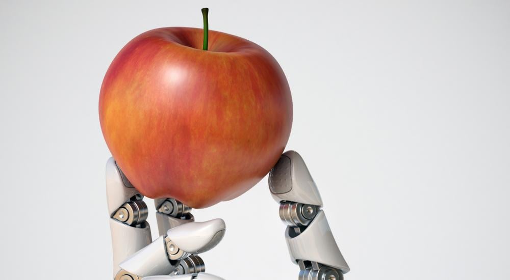 Robot hand holding an apple