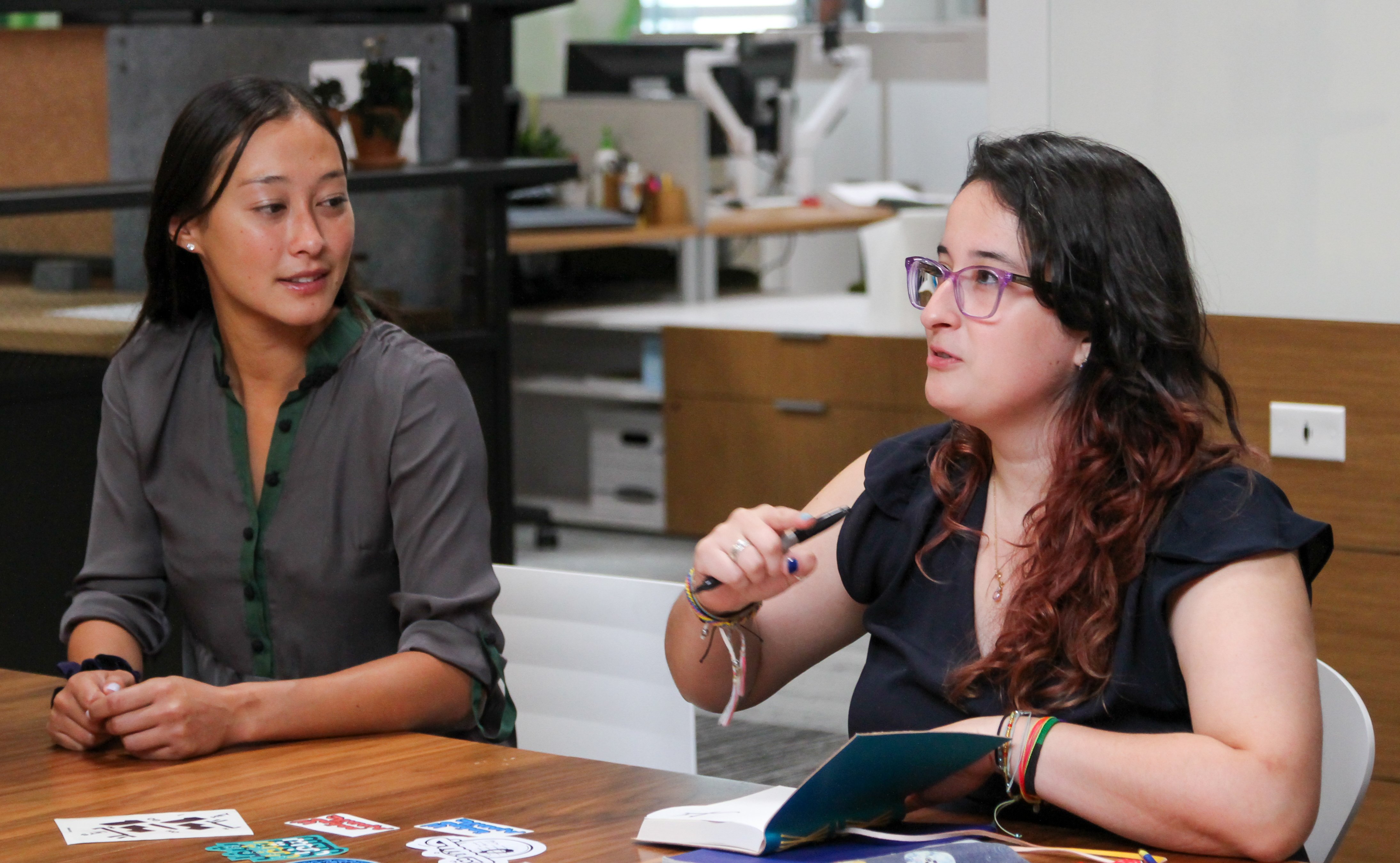 Two women at a conference table talking