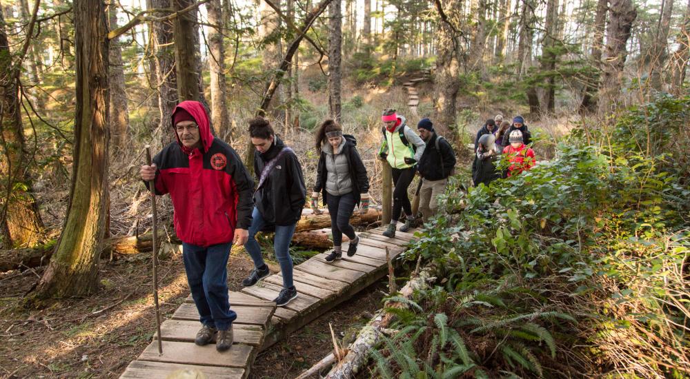 Students hiking through the woods