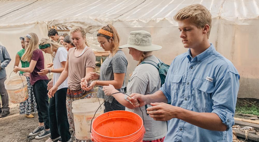 students sort cocoa beans