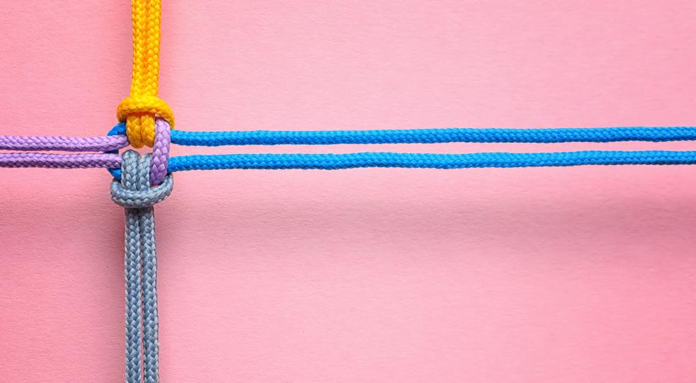 Four colored ropes knotted together on a pink background