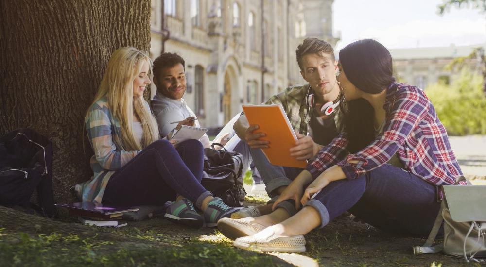 College students sitting under a tree on a campus