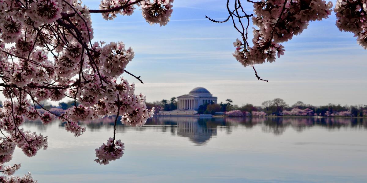 Jefferson Memorial