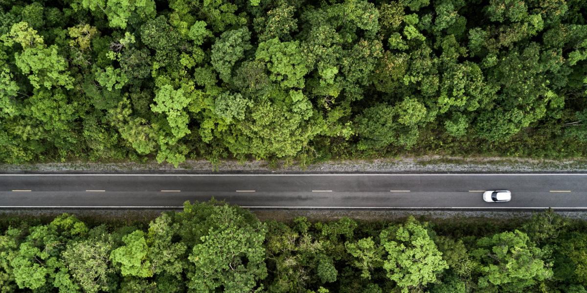 ariel view of a car driving on a street through a forest