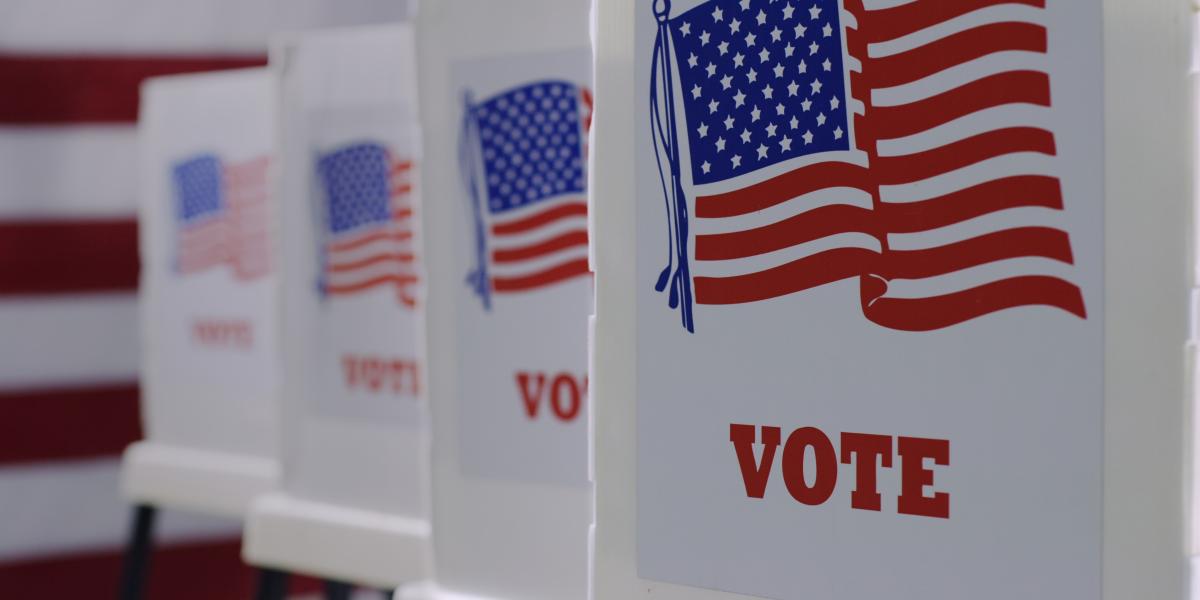 photo of several voting booths in a row