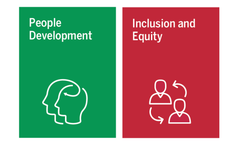 people management and inclusions and equity analysis