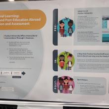 Conference attendee looks at a poster at the poster fair.