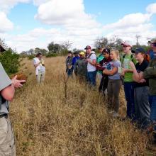 Students on a bush walk in South Africa