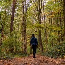 Person on a trail in the woods