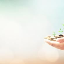 man with plants in his hands