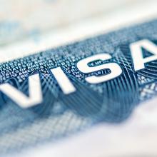 closeup photograph of U.S. visa